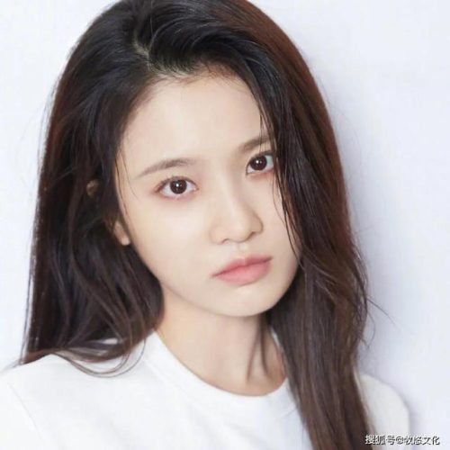 毛妮卓玛(毛妮卓玛的老公)插图9