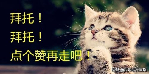 分拣加工企业排名前十(做分拣员哪个公司比较好)插图1