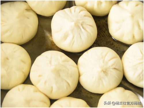 格兰仕电热锅(carote电饭锅说明)插图17
