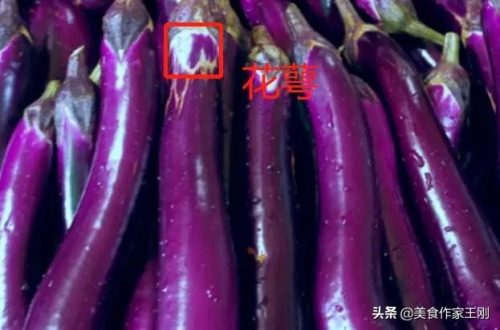 新鲜蔬菜(疏菜品名称大全)插图4
