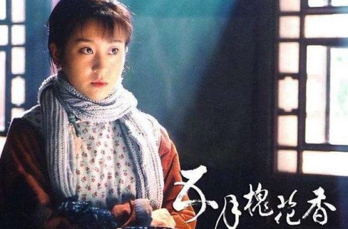 京味电视剧(北京四合院电视剧推荐经典)插图23