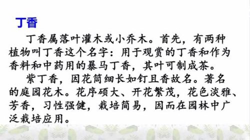 霜树尽空枝肠断丁香结(芭蕉不展丁香结同向春风各自愁)插图5