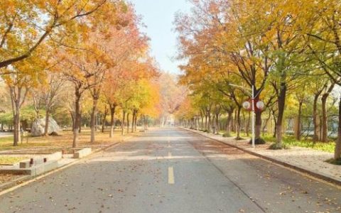 农林院校学术排名前十(国内农林院校一览表)