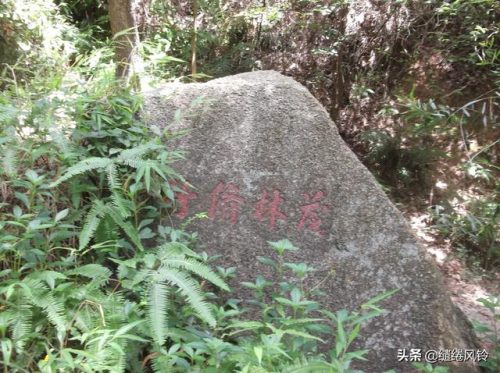 珠海书法机构排名前十(书法机构上市公司)插图11