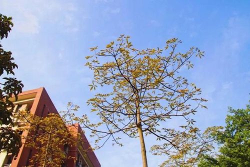 广东机电职业技术学院(广东机电职业技术学院北校区)插图11