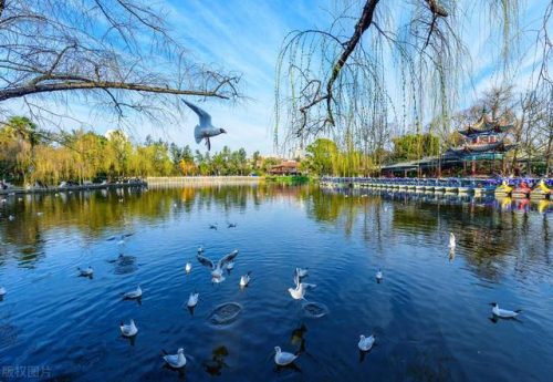 昆明 旅游(昆明游客集散中心)插图25