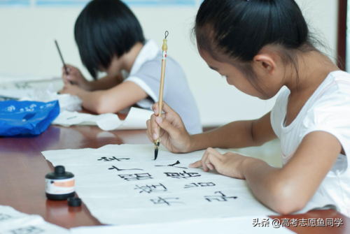 中学排名前十的专业(言蹊中学有啥专业)插图3
