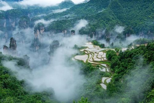 张家界著名旅游景点(张家界的旅游景点大全)插图2