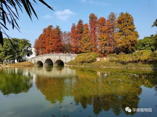广州华南植物园好玩吗(去华南植物园要预约吗)插图1