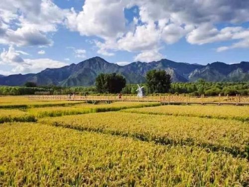 北京休闲运动排名前十(现在北京户外可以玩的地方)插图