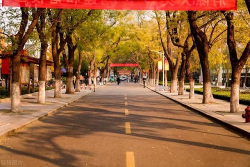 农林院校学术排名前十(国内农林院校一览表)插图1