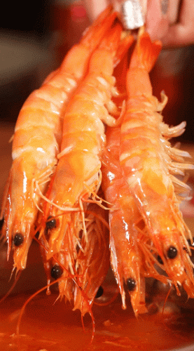 泡菜火锅牌子排名前十(电火锅十大排行榜)插图10