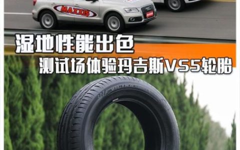 玛吉斯轮胎(玛吉斯轮胎优点和缺点)