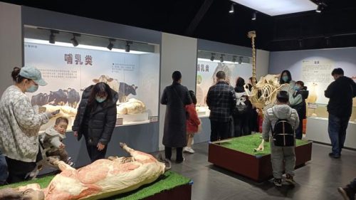 郑州东北景点排名前十(郑州适合老年人的景点)插图6