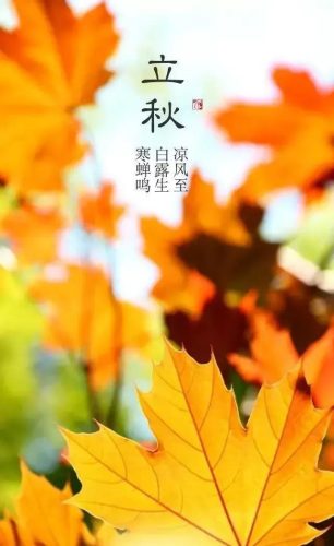 立秋图片大全高清(一叶知秋图片)插图46