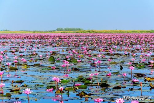 山东户外旅游排名前十(山东夕阳红旅游专列)插图13