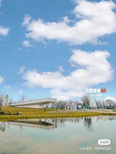 成都适合拍照的地方(成都拍照圣地)插图9