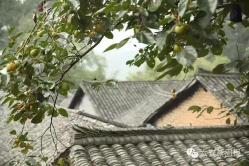 长沙古镇老宅排名前十(塘栖古镇姚家老宅)插图3