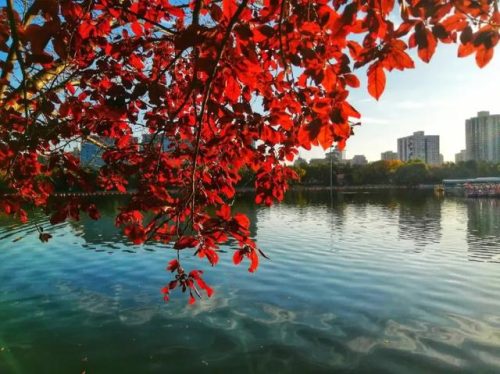 北京最差景区排名前十(北京十大差评景区排名)插图