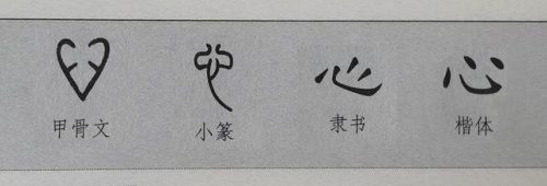 心的笔顺(心字没有中间的点怎么写)插图5