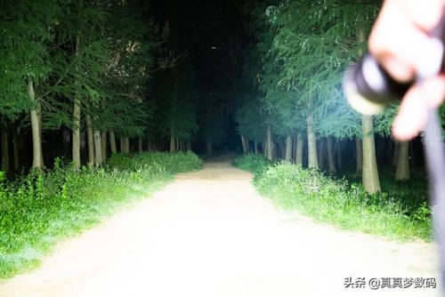 强光手电什么牌子好(三大公认最好的手电筒)插图81