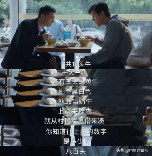 收视率最高的电视剧(2023口碑最好十部国剧)插图9