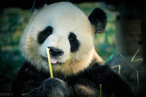 上海主要景区排名前十(上海市景点排行榜前十名)插图6