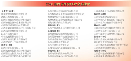 山西本土民企排名前十(山西传统)插图3