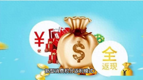 积分返现(返现平台)插图