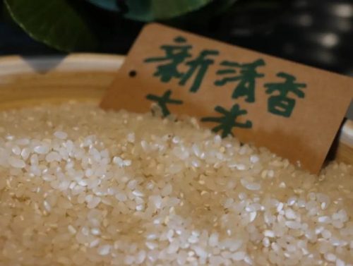 青浦人气酒家排名前十(联怡酒家青浦店怎么样)插图