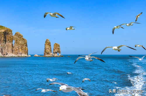 烟台音响(音索益音响烟台有限公司)插图42
