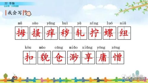 拇组词组(拇指的拇还能组哪些词)插图11