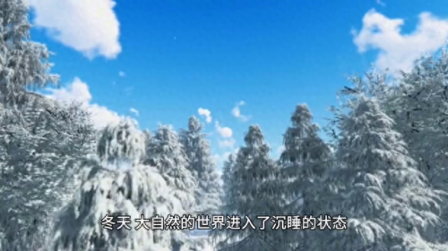 冬眠的动物排名前十(动物怎么过冬的方式)插图
