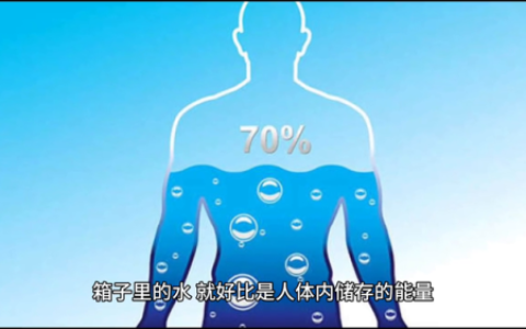 白山减肥专家排名前十(白宇减肥)