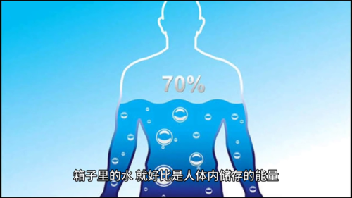 白山减肥专家排名前十(白宇减肥)插图