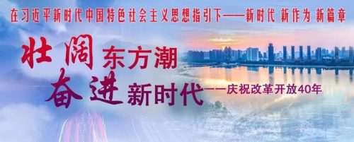 天麻面条厂家排名前十(中国面条品牌排行榜前十名)插图