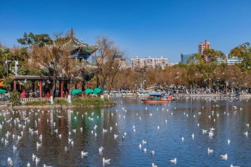 昆明 旅游(昆明游客集散中心)插图26