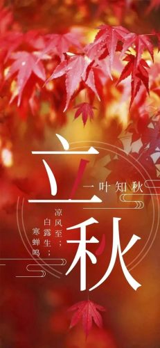 立秋图片大全高清(一叶知秋图片)插图35