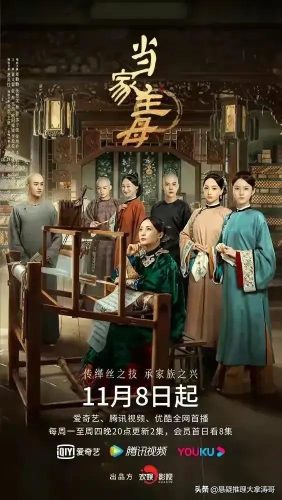 当家主母人物关系(当家主母曾宝琴接过客吗)插图9