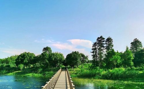 常州的景点排名前十(常州有什么风景区)插图33
