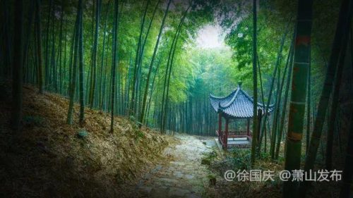 萧山有名村庄排名前十(萧山哪个村最有钱)插图