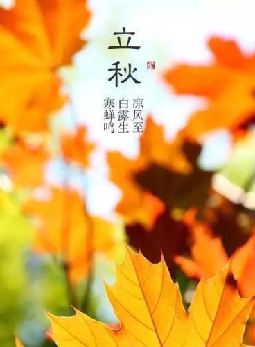 立秋图片大全高清(一叶知秋图片)插图54
