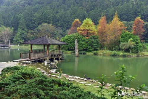 绍兴避暑村庄排名前十(绍兴乡村旅游景点)插图25