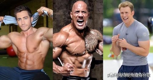 肌肉男明星(肌肉男神)插图