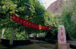 新疆最热景区排名前十(乌鲁木齐风景区有哪些)插图6