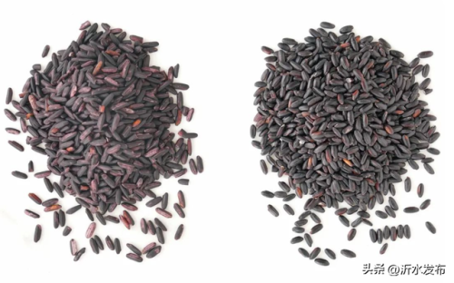 花青素含量排名前十的顺利排名(花青素最高的产品)插图6