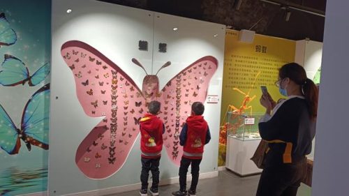郑州东北景点排名前十(郑州适合老年人的景点)插图12
