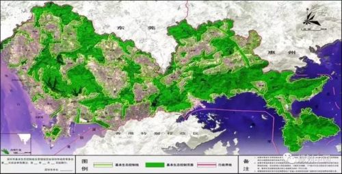 深圳学霸排名前十(深圳学霸都是来自哪些小学)插图22