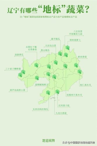 蔬菜产地(全国十大产地蔬菜批发市场)插图8