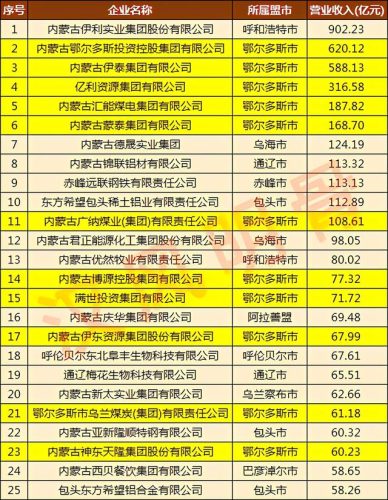内蒙私企集团排名前十(中国十大民营企业)插图2